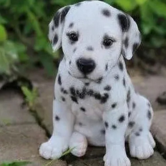 Meet your Posher, Jeff - Picture 1 of 1